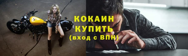 твердый Абаза