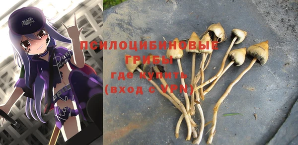 твердый Абаза